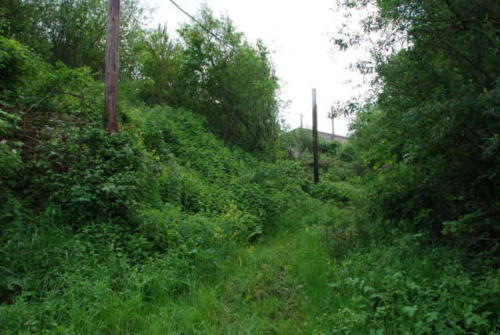 DSC 1916