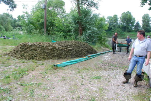 DSC 2006