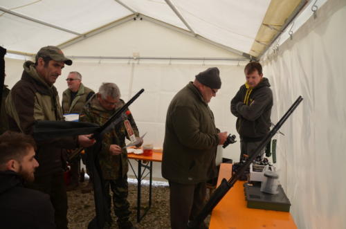 DSC 2019 (1)