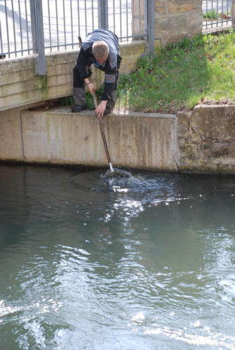 DSC 4232
