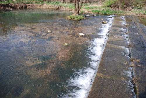 DSC 4255