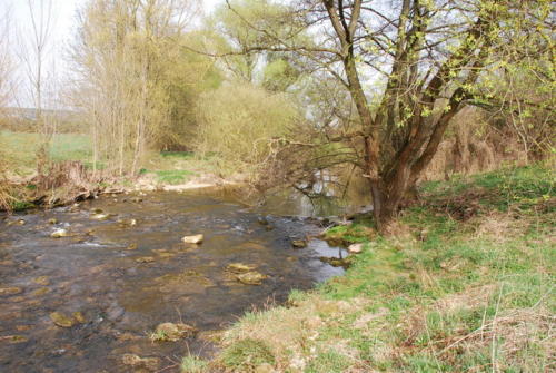 DSC 4265