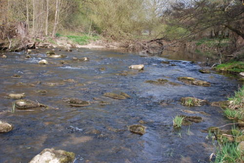 DSC 4280