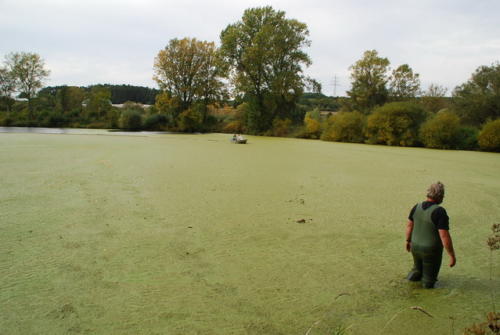 DSC 4959