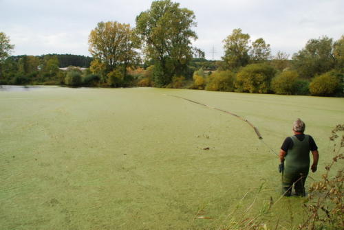 DSC 4965