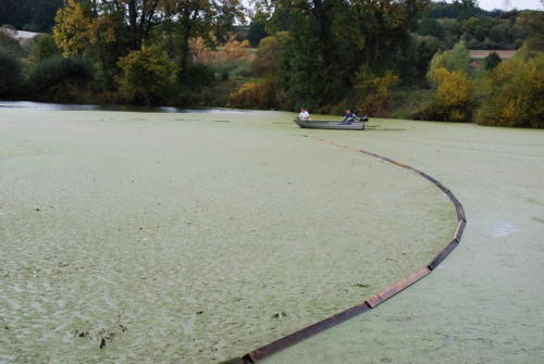 DSC 4966