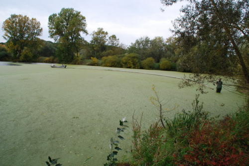 DSC 4967